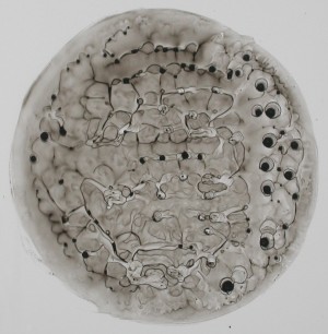 Selbstherrliche Studien